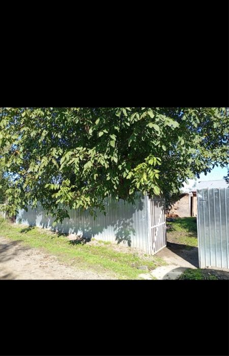 Casă cu teren 2000m