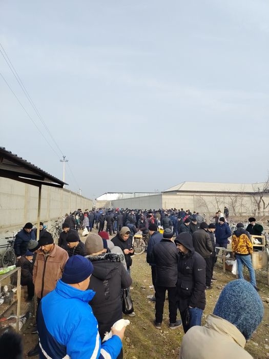 13 сотих жой ижарага берилади