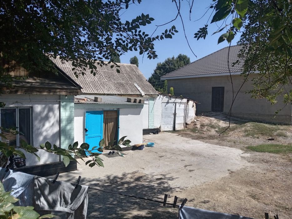 Гродекова ауылында уи сатылады