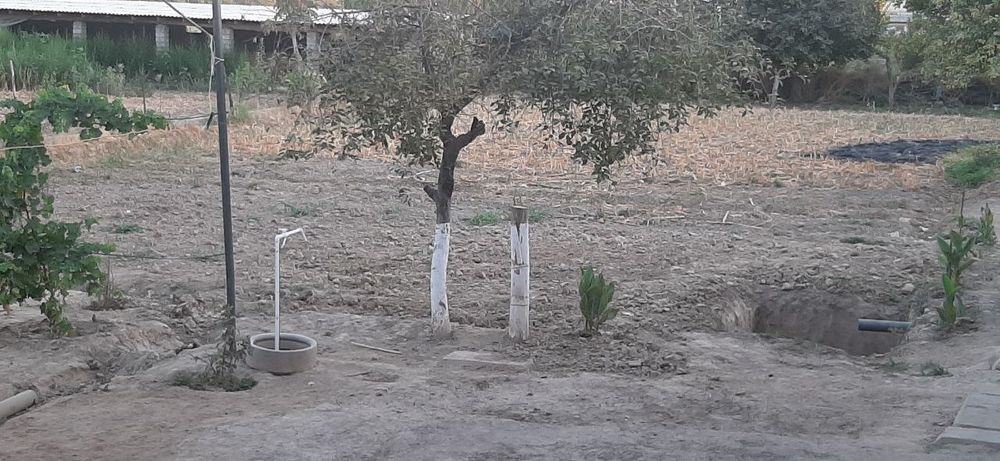 Чиноз туманида 13 сотих, 3 хона, хаммом туалет, уй сотилади