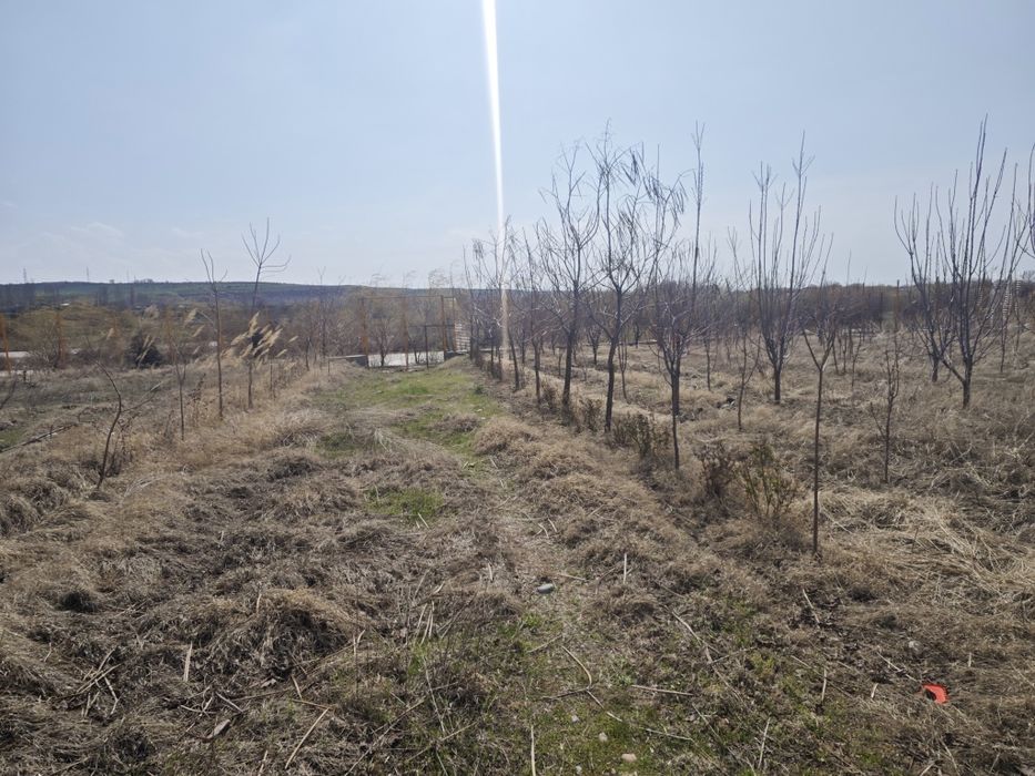30 sotikli dacha sotiladi srochna suv boyida