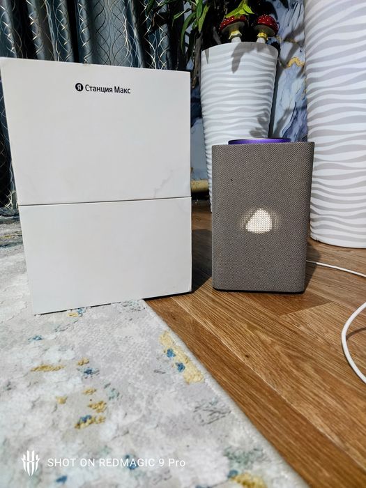 Алиса Макс в идеальном состояние!