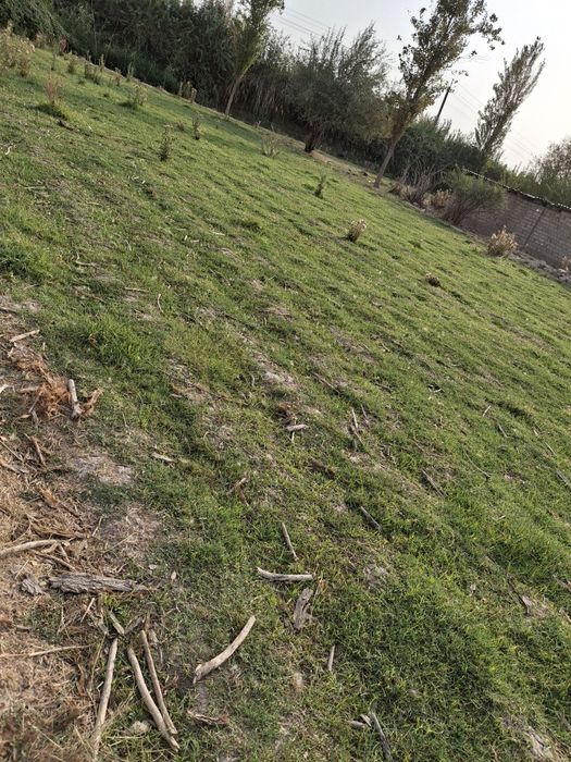 Yer uchastkasi sotiladi 10 sotix