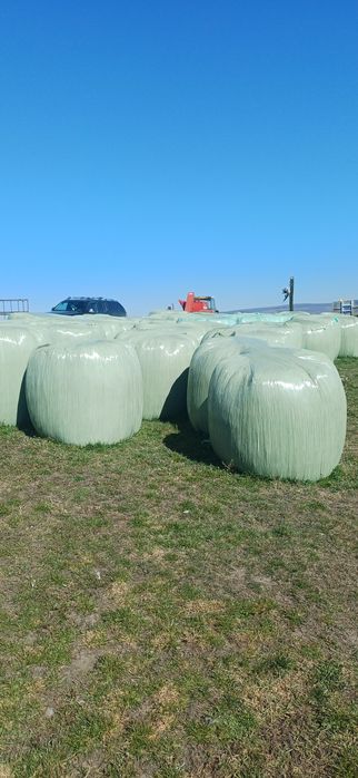 Baloți lucernă înfoliați