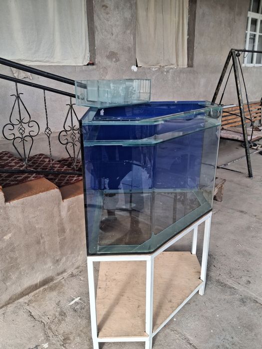 Akvariu sotiladi 300 litr 1sm oyna qalinligi