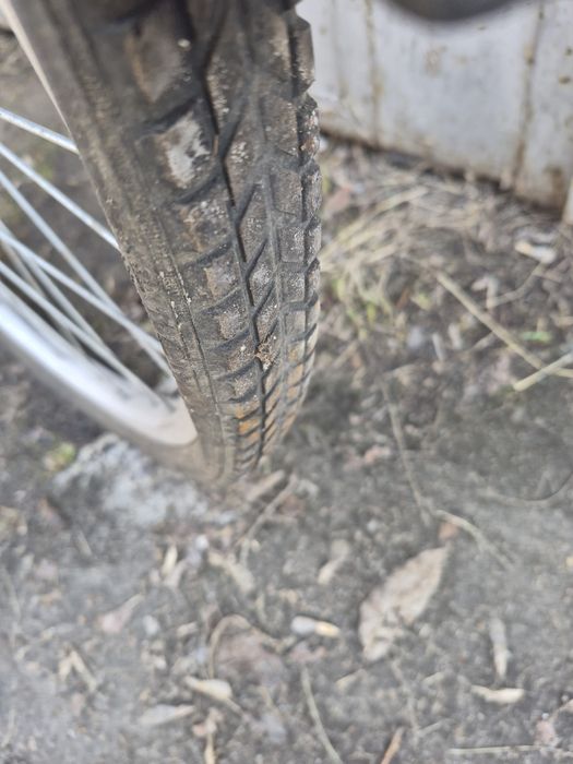 Велик гладиатор.