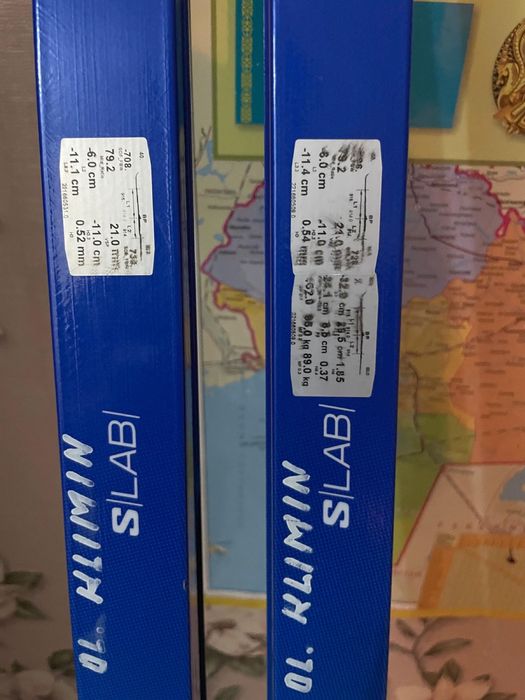 Продам лыжи salomon