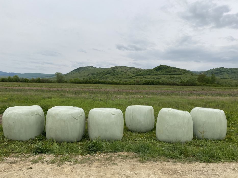 Vând baloți lucernă