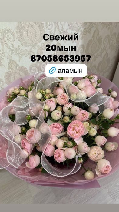 Тараз цветы гүлдер