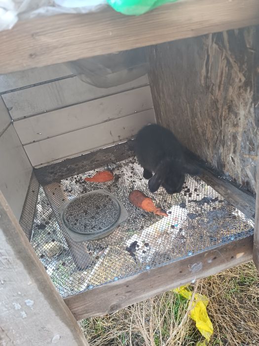 Продаётся клетка