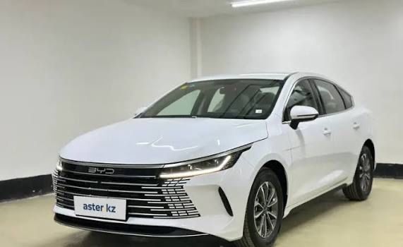 Дверь для Byd Destroyer 05