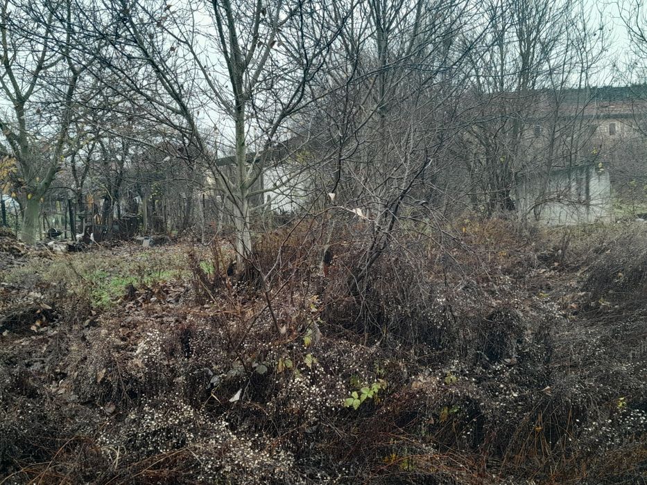 Vând teren in Ostrovul Corbului Mh