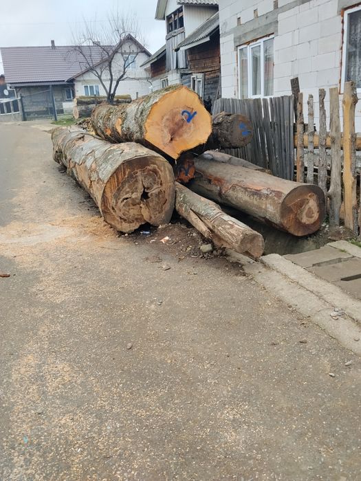 Vind lemne de foc esență tare fag