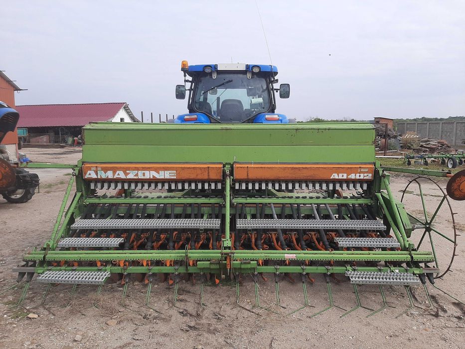 Semanatoare Amazone Paioase 4 m