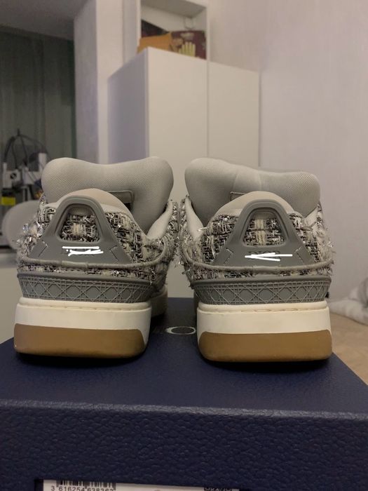 Dior B9s silver skate