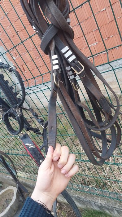 Vând o pereche de hamuri foarte frumoase purtate Foarte puțin