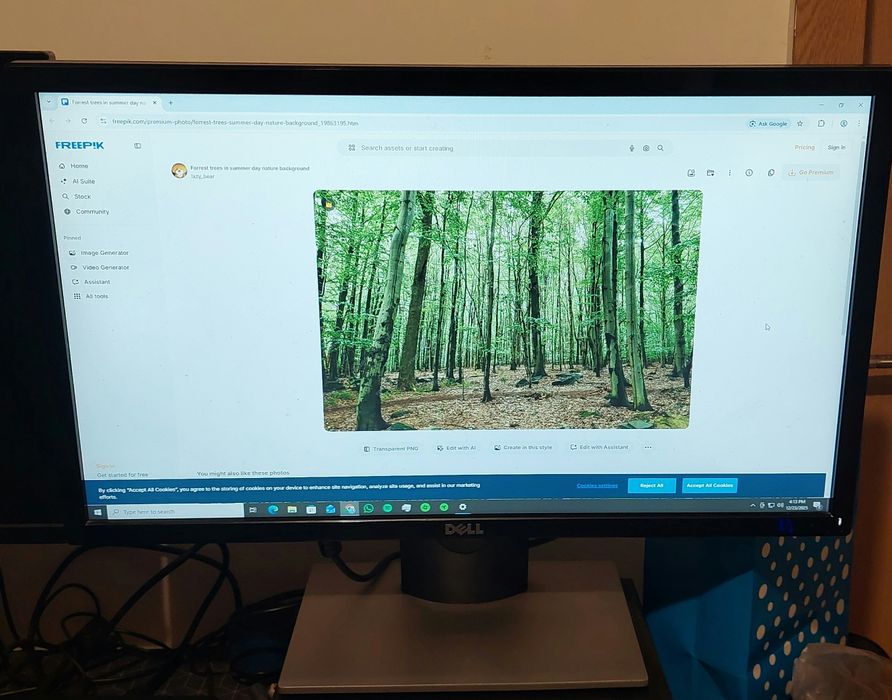 Monitor Dell SE2417HGX