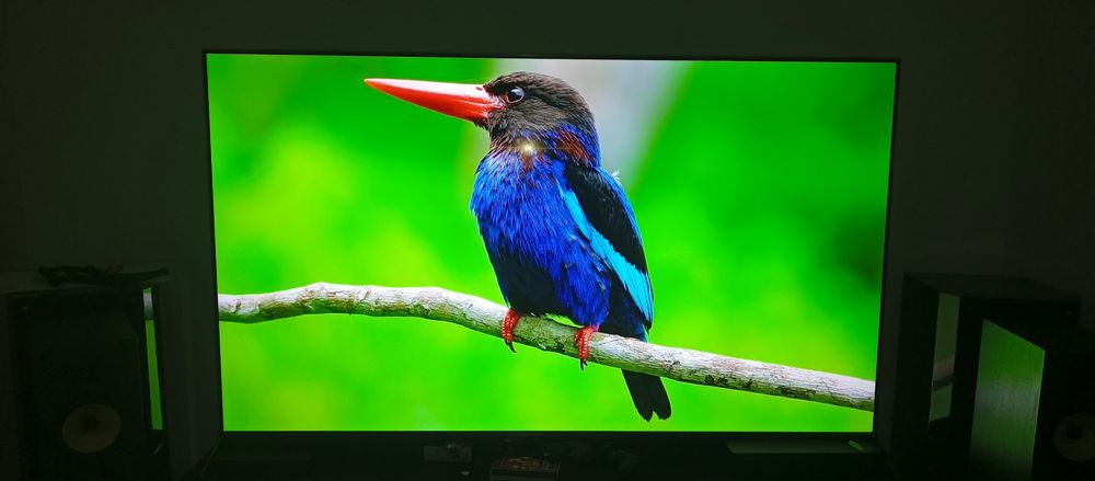 TV TCL 214 cm 85C735
