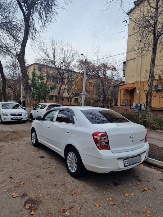 Cobalt 4-pozitsiya/2020