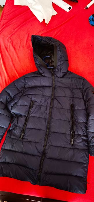 Jacheta matlasata zara