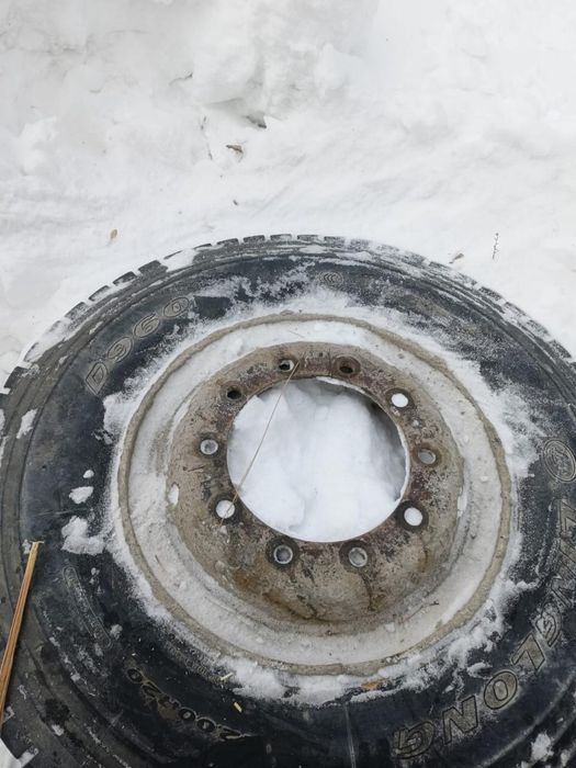 Продам шину на Шахман