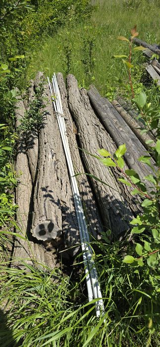 Stâlpi salcâm 2.3-2.5m pentru ponton sau gard