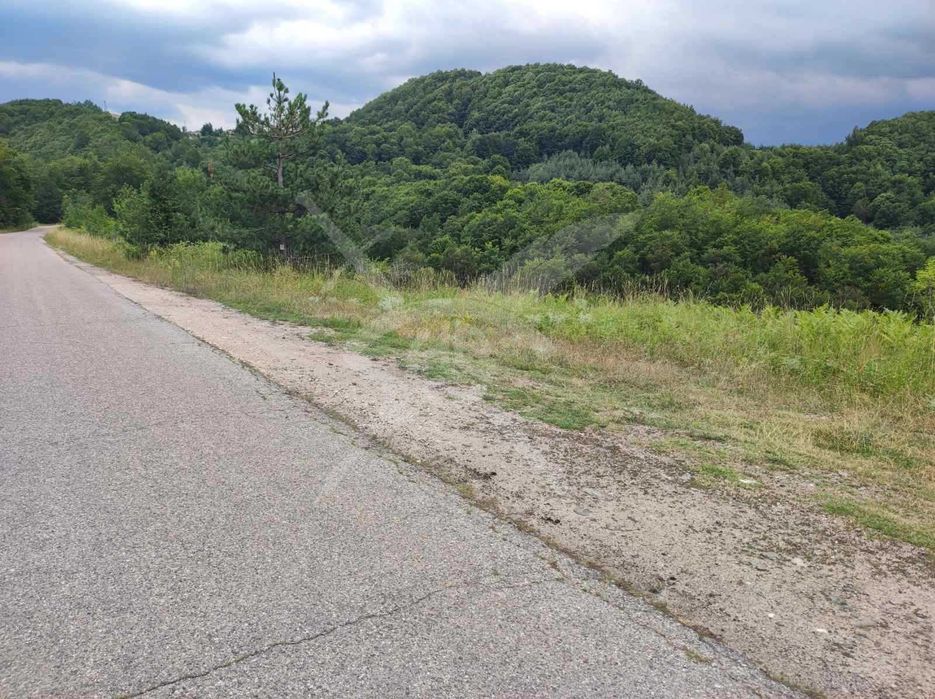 Продава се Парцел в с. Мостово, Област Пловдив - 4621 кв.м за 15 €/кв.м - Снимка #1