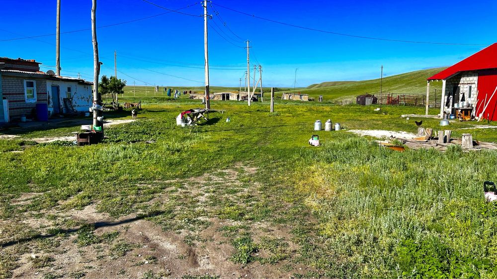 Крестьянское хозяйство