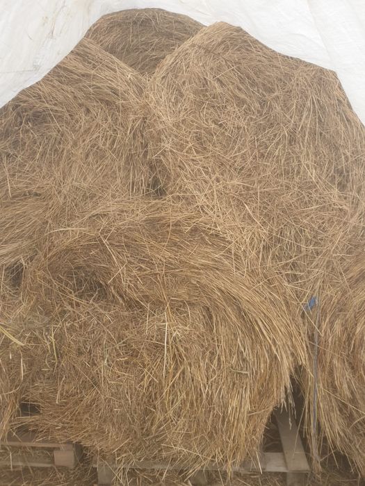 Baloti rotunzi fan 120x120