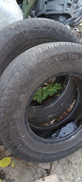 Vand două cauciucuri Continental de vara 3,5T