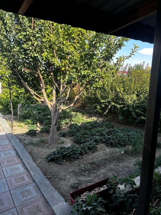 Срочно Продам дом в Кенгире