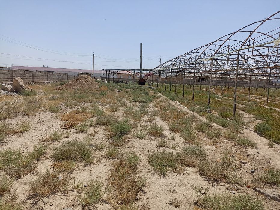 Yer maydoni sotiladi