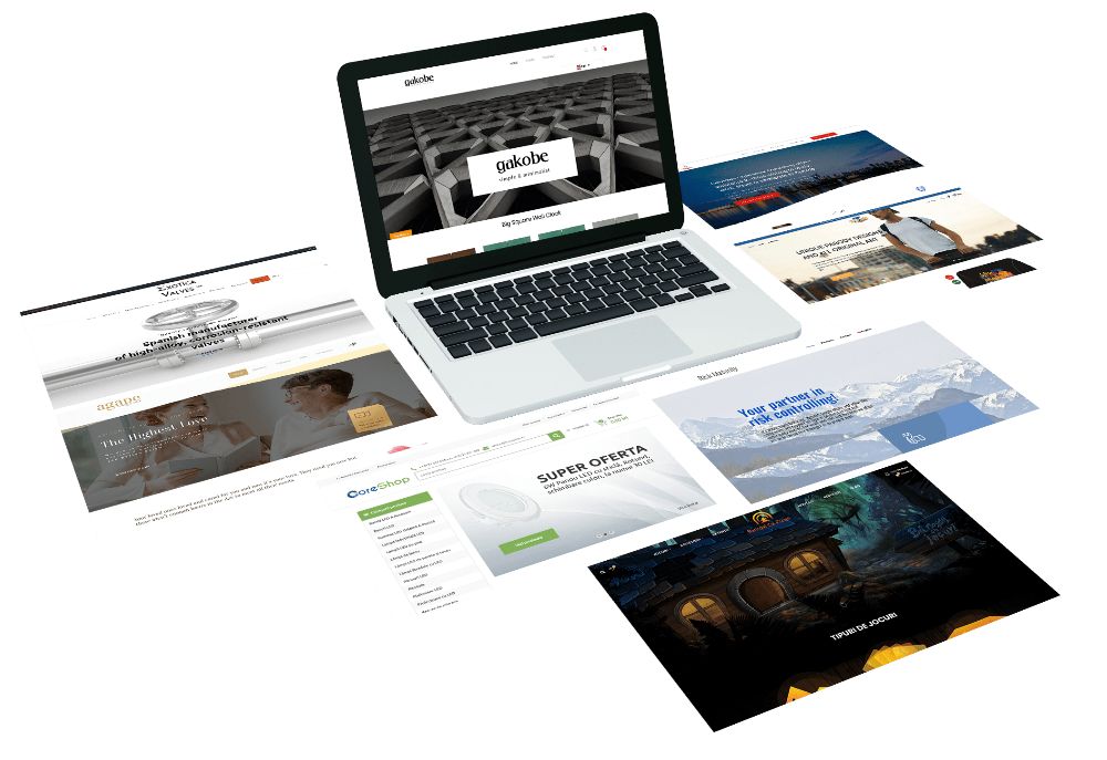 Site-uri la comanda, optimizate complet, cu domeniu inclus, ieftin !