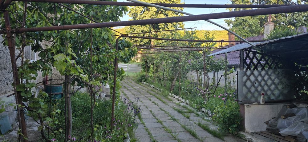 Vand casă in Sarata Monteoru   cu teren  1100mp.