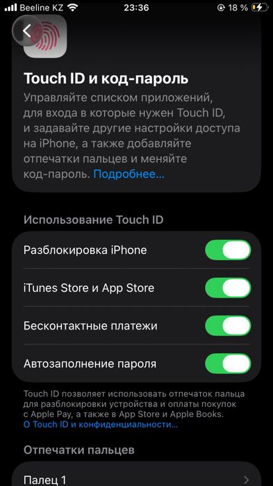 iphone se2 64гб 100%
