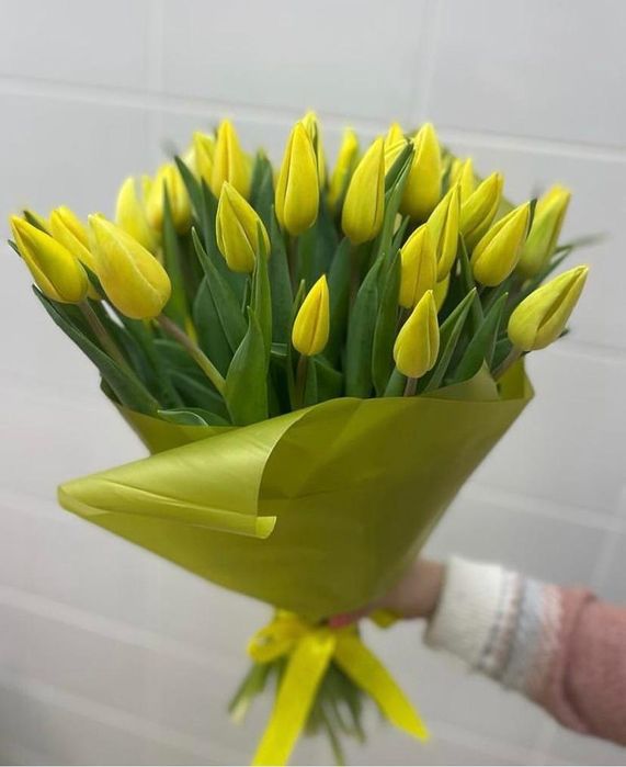 Покупай цветы тюльпаны почти бесплатно