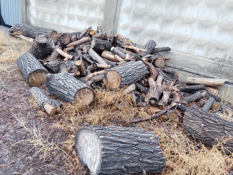 Дрова на растопку, самовывоз находится в городе