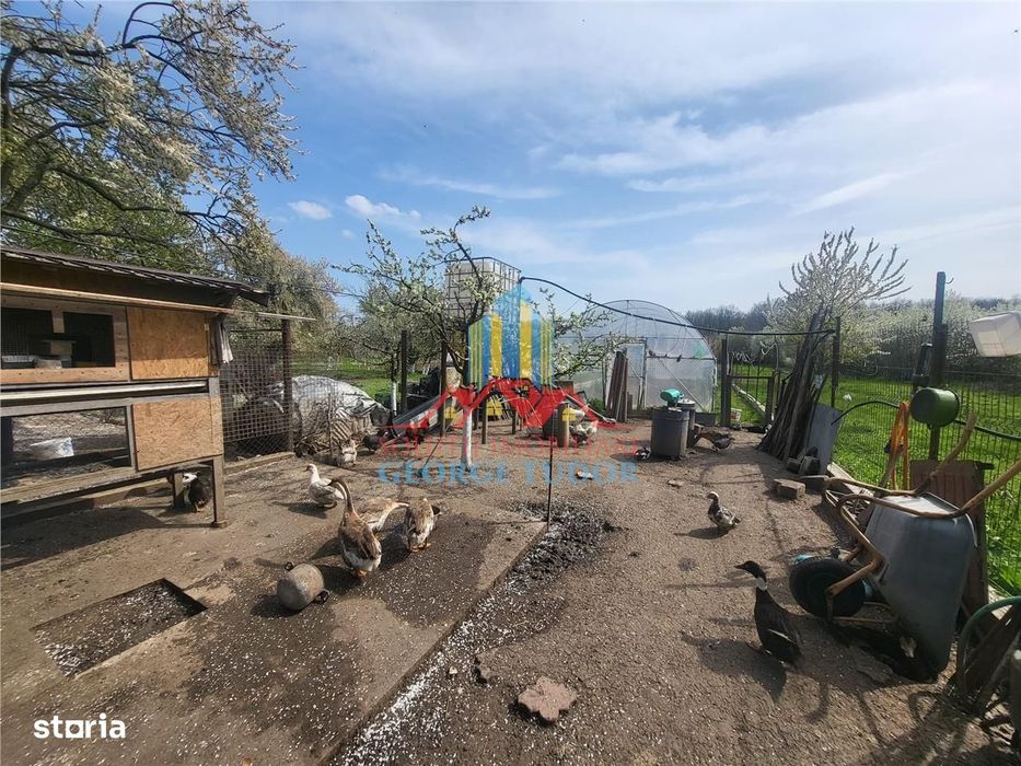 Vanzare casa Bolintin Vale Suseni 104