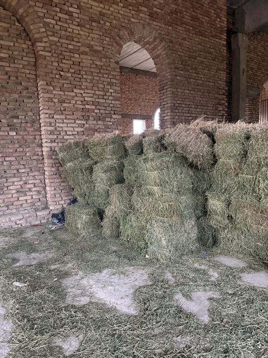 Беда прес холати зур гарнтия