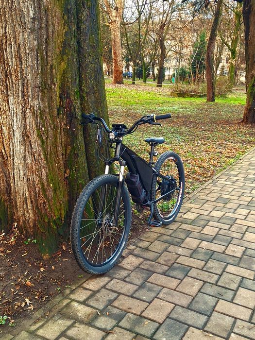 construiesc biciclete electrice puternice la comanda