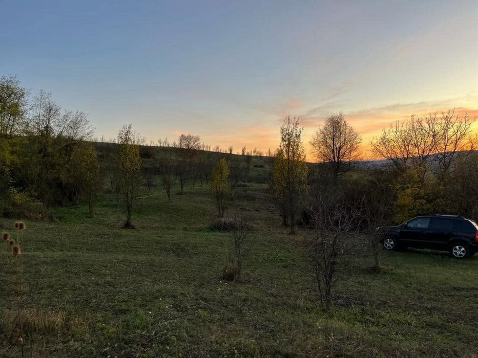Teren extravilan/livadă tanara