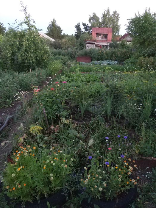 Продам дачу по зерендинской трассе