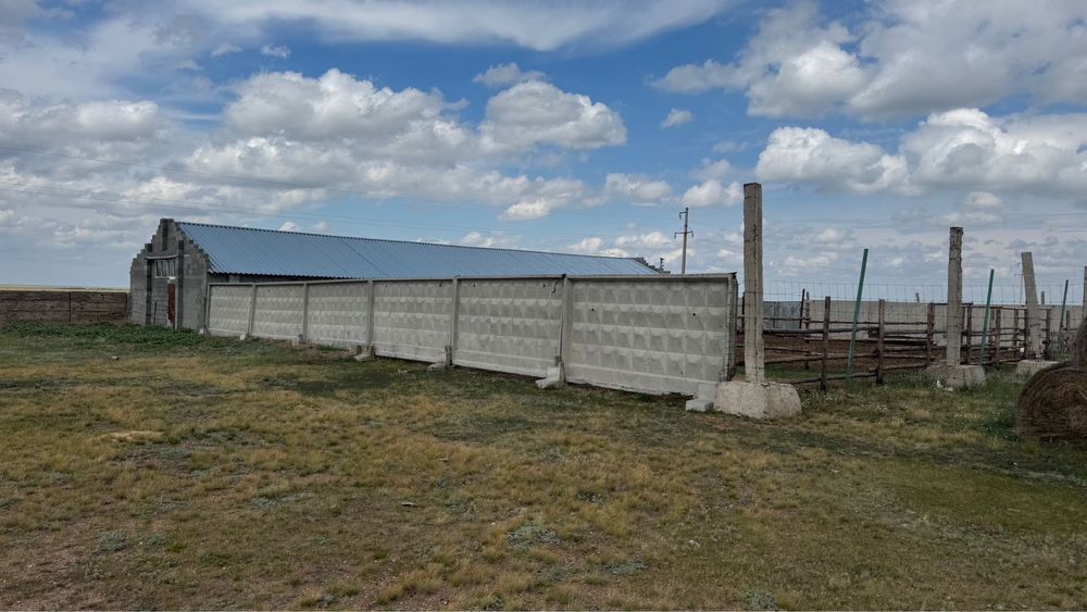 Животноводческий комплекс