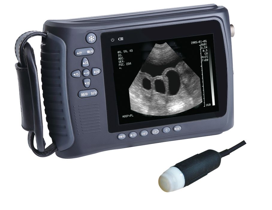 Узи аппарат для животных  Узи аппарат мол кой учун