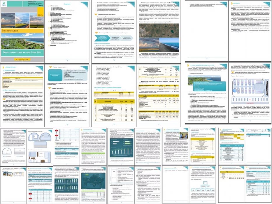 Бизнес план, ТЭО разработка - 35 тыс. тг