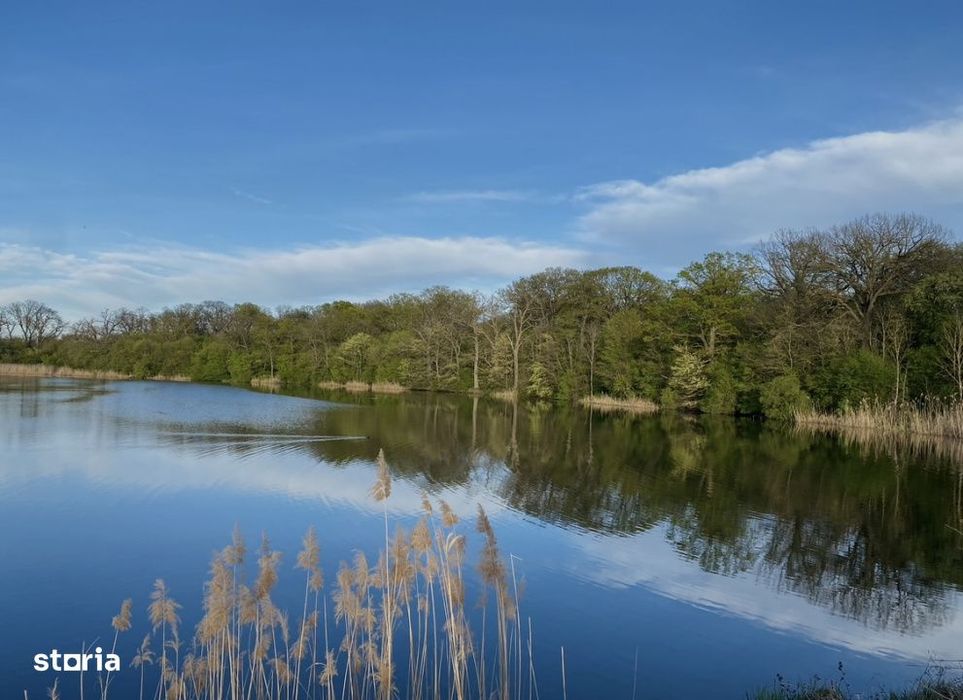 Teren Premium, Vedere partial Panoramica Lac si Padure, Utilitati