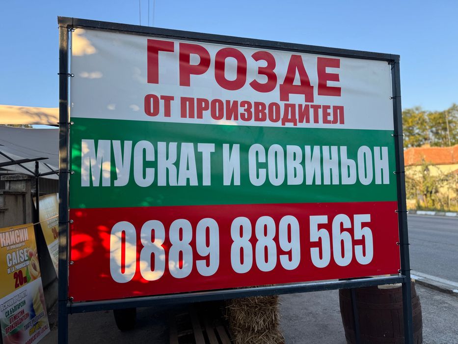 Грозде Совиньон и Мускат