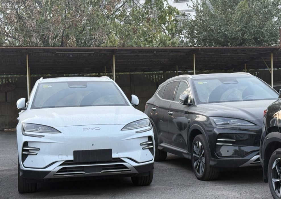 Byd champion Smart restayling 2026