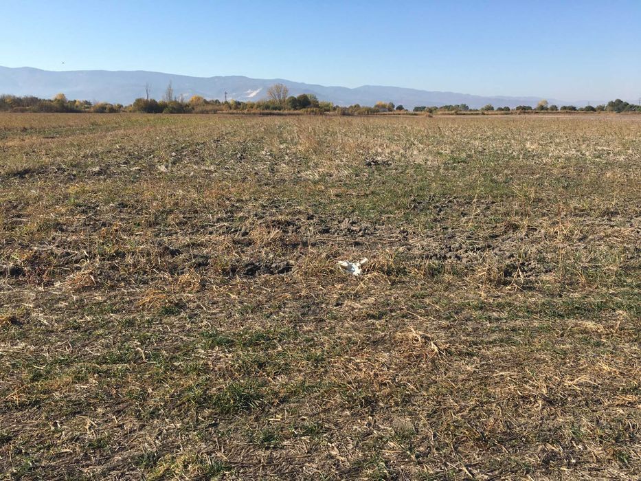 Продава се Земеделски имот в Пловдив, Център -  кв.м за 12500 €/дка - Снимка #1