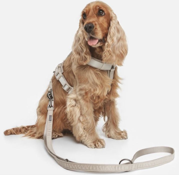 НОВ С ЕТИКЕТ Нагръдник за куче до 10кг подплатен Nomad Tales размер S